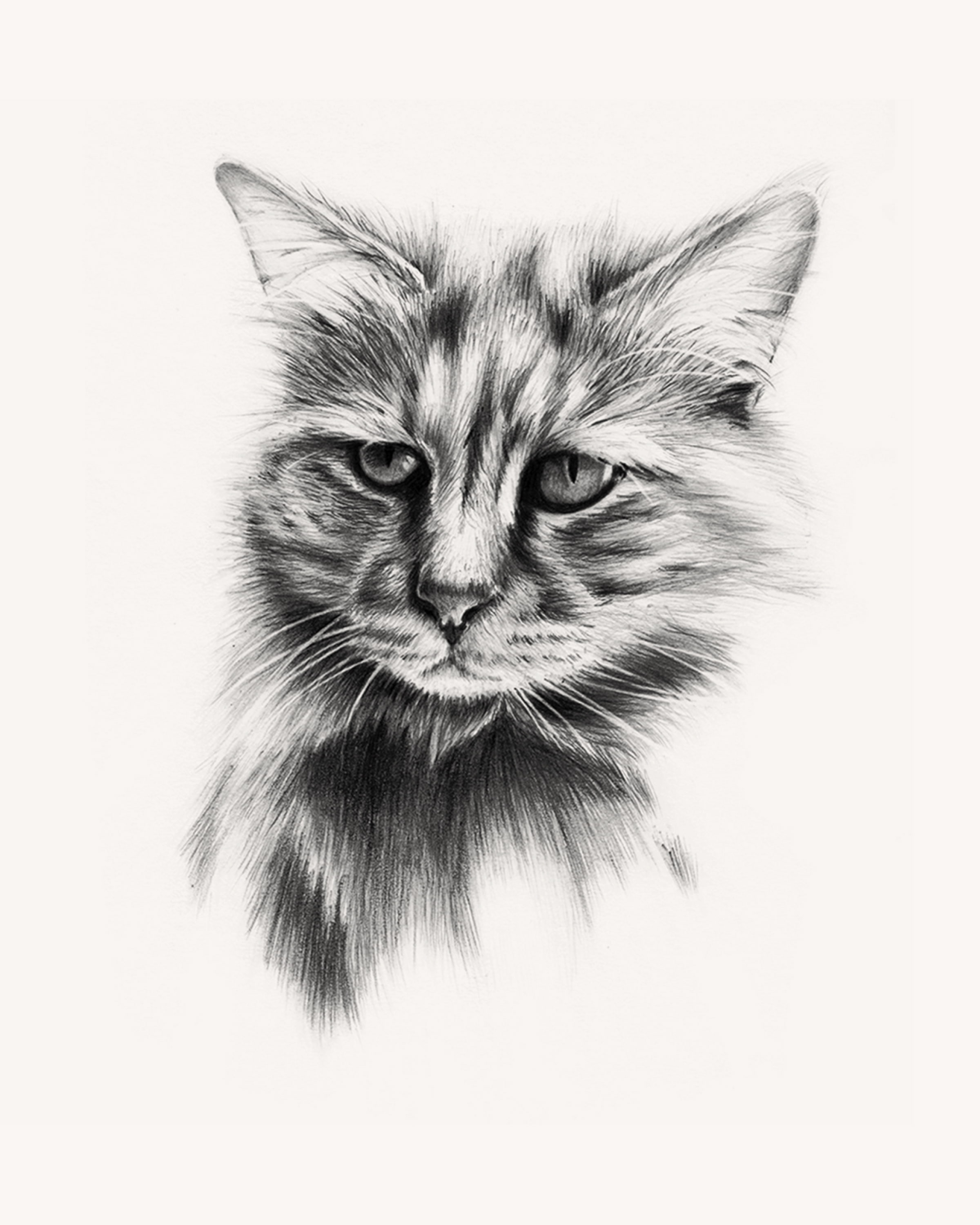 Kitty